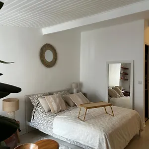  Apartment Grand Studio Entierement Renove Au Coeur De